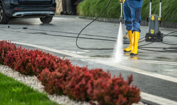 Best Sidewalk Pressure Washing  in Roxana, IL